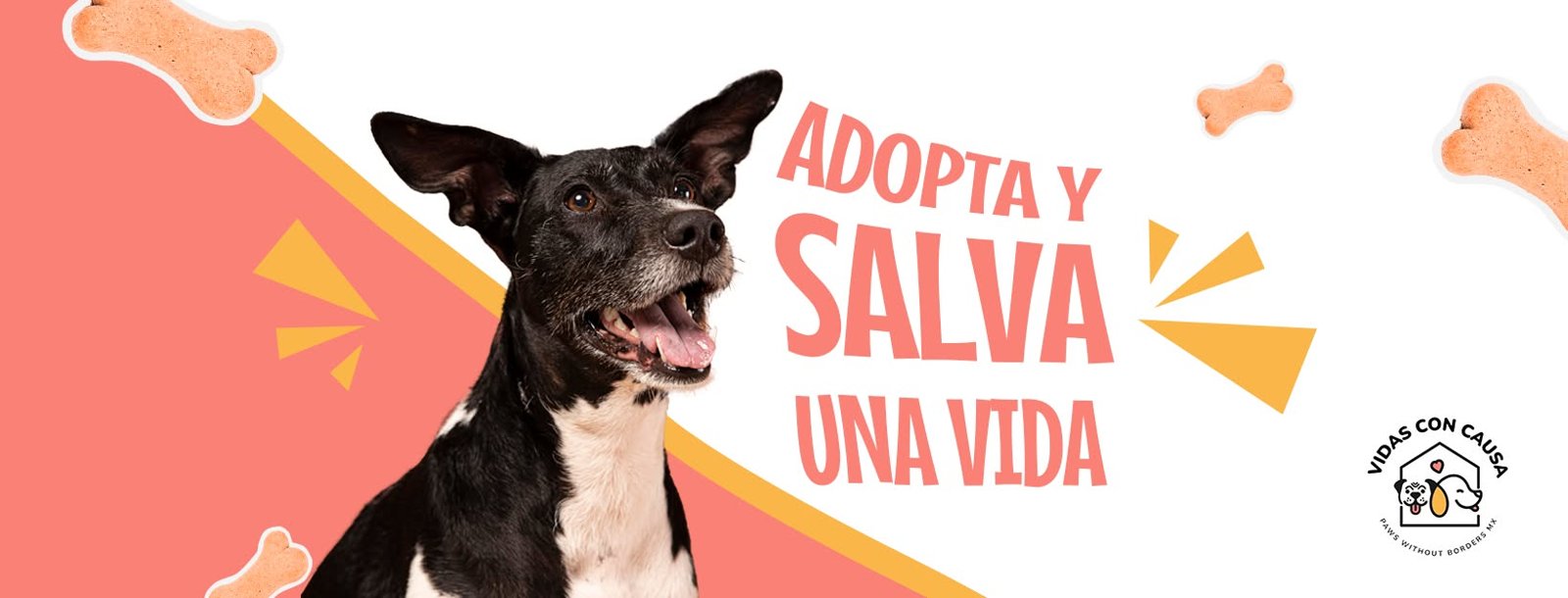 Adopta y salva una vida - Vidas Con Causa A.C.