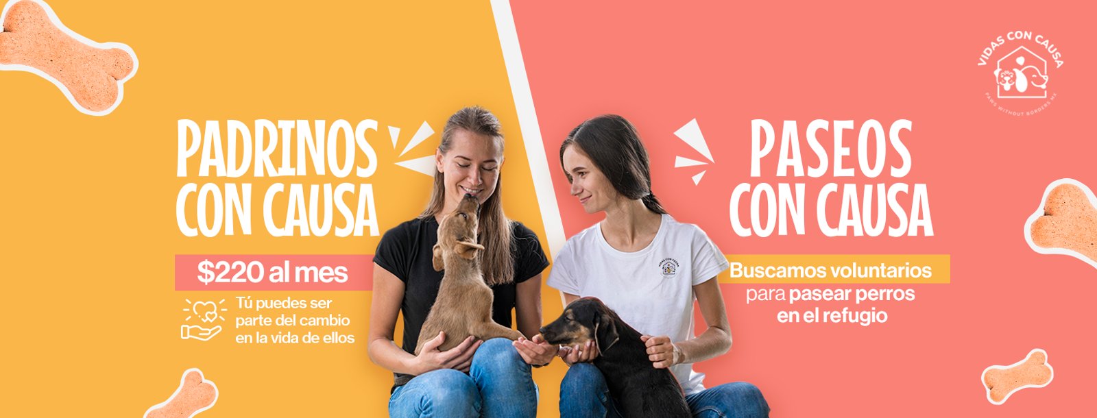 Campaña Padrinos con Causa y Paseos con Causa